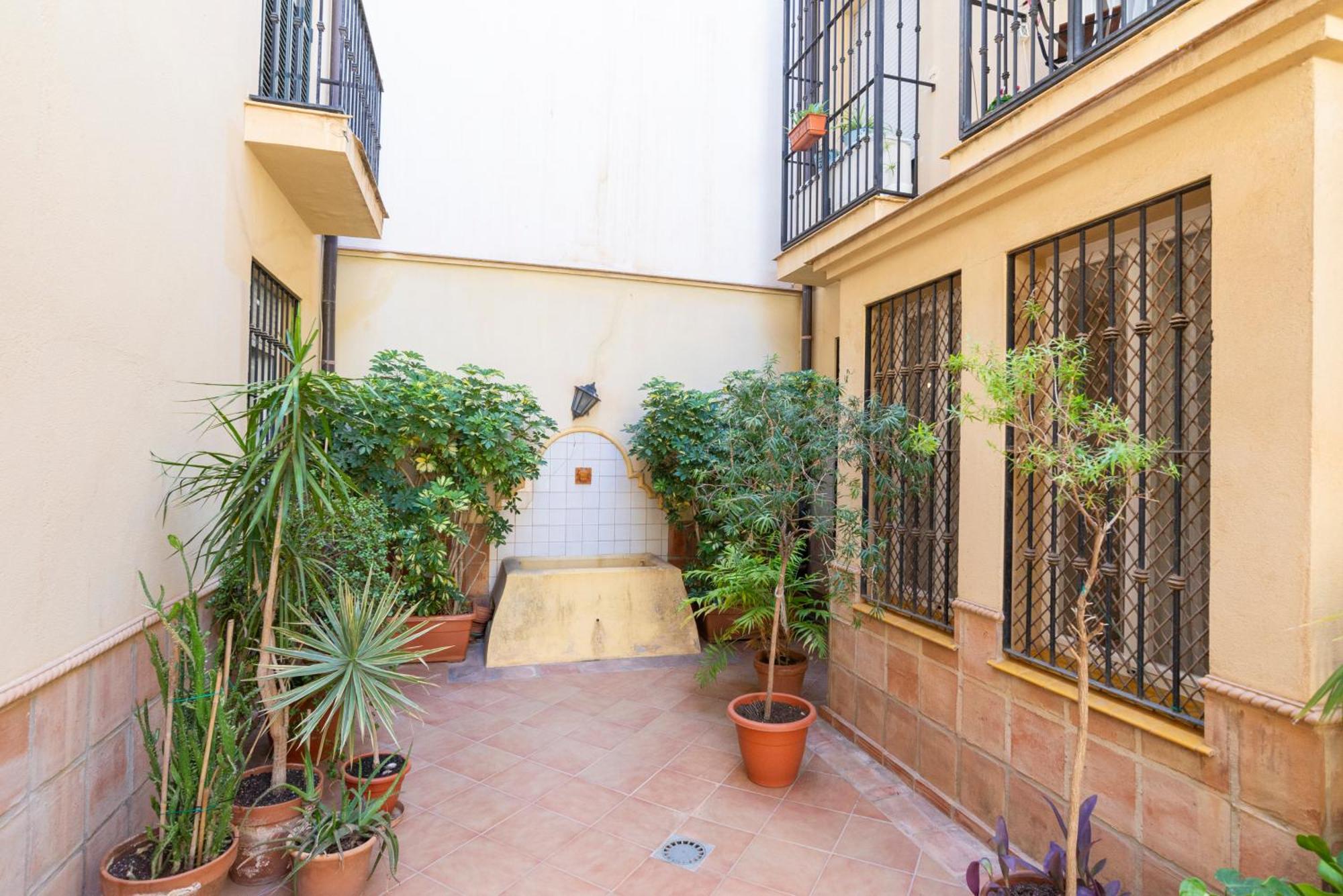 Apartment & Pool In Malaga City Center מראה חיצוני תמונה
